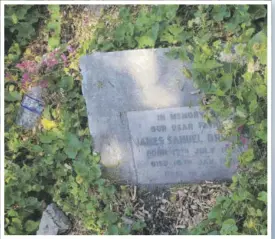  ?? ?? A headstone in May Pen Cemetery is barely noticeable as bush and dirt cover the majority of the grave.