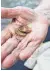  ?? FOTO: DPA ?? Eine Rentnerin mit ein paar Münzen in der Hand.