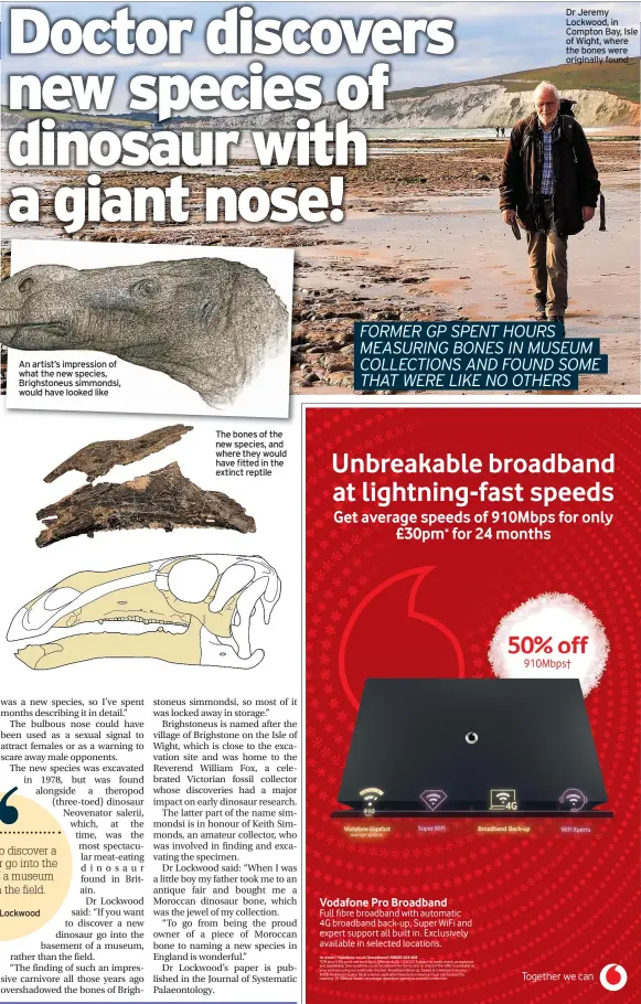  ?? ?? An artist’s impression of what the new species, Brighstone­us simmondsi, would have looked like
The bones of the new species, and where they would have fitted in the extinct reptile
Dr Jeremy Lockwood, in Compton Bay, Isle tNhe beonews werse of Wight, where originally found