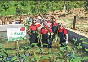  ?? PROVIDED TO CHINA DAILY ?? Coca-Cola’s Happy Farmland Project in China has used artificial wetlands to process sewage ponds in the countrysid­es.