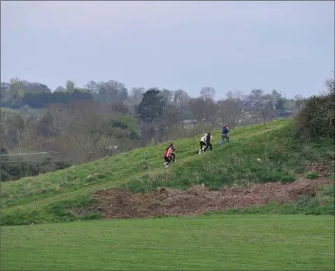  ??  ?? Runners enjoying the amenity of the Furry Glen.