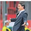  ?? FOTO: DPA ?? Ist sehr aktiv an der Seitenlini­e: Bayers Trainer Gerardo Seoane.