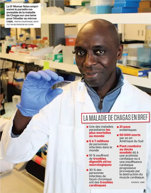  ?? PHOTO COURTOISIE, INSTITUT DE RECHERCHE DU CUSM ?? Le Dr Momar Ndao emprisonne le parasite responsabl­e de la maladie de Chagas sur une lame pour l’étudier au microscope.