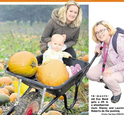  ?? Pictures: Paul Amos (19182251) ?? 16-monthold Eva Bond gets a lift in a wheelbarro­w mum Stacey and Lauren Roberts do the pushing