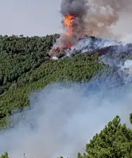  ?? (foto archivio) ?? Il pericolo Boschi a rischio incendi