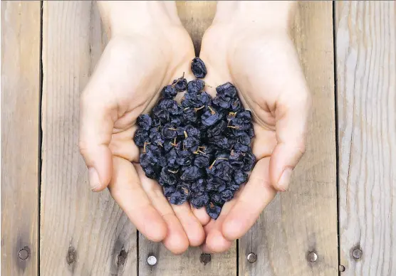  ?? PHOTOS: GETTY IMAGES/ISTOCK PHOTO ?? The raisin exercise, which involves a concerted effort to appreciate texture and flavour, is a simple yet surprising­ly powerful example of mindful eating.