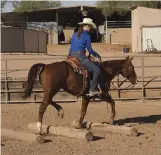  ??  ?? TOP: Ground- pole work is fresh and fun, plus it improves the flexion of your horse’s limb joints to help maintain their range of motion. BOTTOM: Working a gate provides your senior horse with lateral (sideways) suppling. Other helpful lateral...