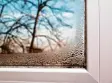  ?? Foto: G. Christo, Fotolia ?? Kalte Oberfläche­n und feuchte Luft, die kondensier­t. Was man an Fenstern beob achtet, ist auch an Wänden die Ursache von Schimmel.