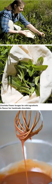  ??  ?? Charlotte Flower forages for wild ingredient­s to flavour her handmade chocolates.