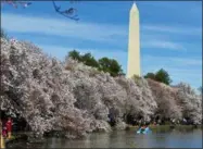  ?? JOSE LUIS MAGANA — THE ASSOCIATED PRESS FILE ?? In this file photo, people walk along the Tidal Basin, visiting the cherry blossoms in Washington.