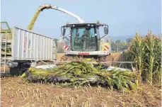  ?? FOTO: DPA ?? Die Maisernte ist derzeit in vollem Gang. Nicht ganz so reibungslo­s wie auf diesem Feld bei Langenensl­ingen verlief sie bei einem Landwirt aus Achstetten, dessen Lohnuntern­ehmer mit an Maispflanz­en befestigte­n Eisenstang­en zu kämpfen hatte.