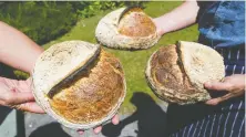  ??  ?? Sour Bros Bread’s Zayne Heyes spends 20 hours folding, beating, mixing, stretching and resting the dough for his loaves.