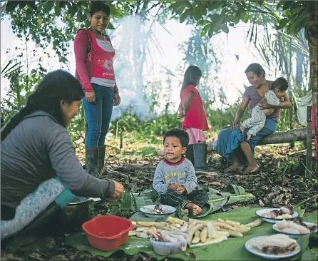  ??  ?? Families of the Wampis Nation prepare a meal in the Peruvian Amazon as legal action on lockdown looms