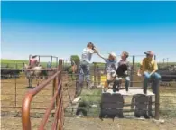  ?? RJ Sangosti, The Denver Post ?? Children take a break during spring branding work May 31 at Wright Farms in Lindon.