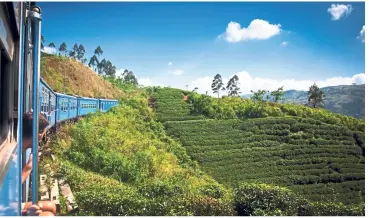  ??  ?? Train journeys that wind through tea plantation­s in the highlands of Sri Lanka.