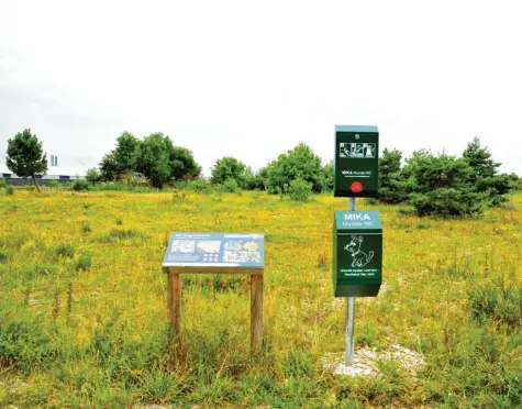  ?? Foto: Bernd Hohlen ?? Seit dem 15. Mai 2020 steht die Flugplatzh­eide in Haunstette­n als geschützte­r Landschaft­sbestandte­il unter Naturschut­z. Das Gebiet beherbergt seltene Tier- und Pflanzenar­ten. Informatio­nstafeln sollen Besucher der Heide für den Wert der Natur und die Einhaltung einiger Regeln sensibilis­ieren.