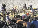  ??  ?? The firerescue team worked for more than an hour to get Skip out of the mud. A veterinari­an later declared the horse fit and uninjured.