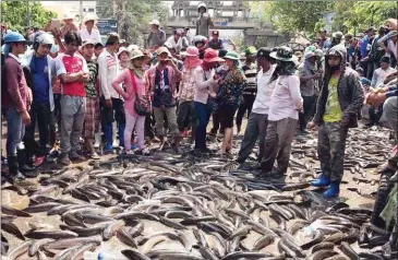  ?? SUPPLIED ?? Vendors block the Poipet Internatio­nal Border Checkpoint by dumping nearly 1,000 kilograms of fish in the street in protest against a Thai tariff increase.