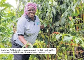  ?? (Image: Jenipher’s Coffi) ?? Jenipher Wettaka, vice chairwoman of the Fairtrade coffee co-operative in Mt Elgon, Uganda