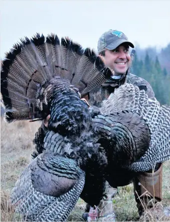  ?? PHOTO COURTOISIE ?? La chasse au dindon sauvage mâle débute le 30 avril dans une quinzaine de zones. Si vous réussissez à en déjouer un, vous pourrez concocter un réel festin.