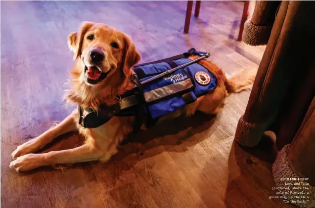  ??  ?? GUIDING LIGHT Levi and Trip (pictured) share the role of Pretzel, a guide dog, in the CW’S “In the Dark.”