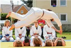  ??  ?? Der erfolgreic­he Judoka Fabian Hirschberg­er, Träger des braunen Gurtes, sprang spektakulä­r über bis zu neun Kinder, um seine Falltechni­ken zu zeigen.