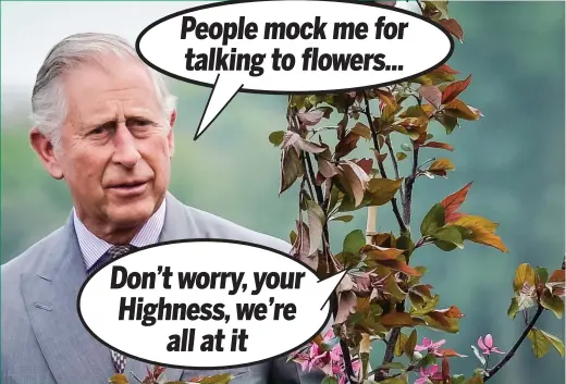  ??  ?? People mock me for talking to flowers... Don’t worry, your Highness, we’re all at it