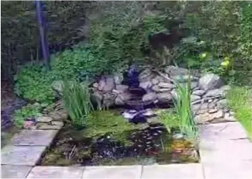  ?? ?? Garden: CCTV system captured footage of MacNeil pouring ‘bleach’ into fishpond