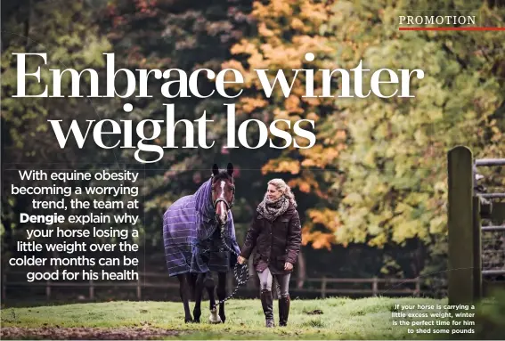  ??  ?? If your horse is carrying a little excess weight, winter is the perfect time for him to shed some pounds