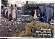  ??  ?? Shoop and Marnie, 29, tuck
into their hay