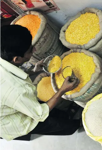  ?? NOAH SEELAM/AFP/GETTY IMAGES FILES ?? A tradesman takes lentil samples at the wholesale market in Hyderabad, India. The outlook for Canada’s pulse crops has worsened. The largest consumer, India, is trying to unload its surplus inventory as it had bumper harvests. Lentil prices fell more...