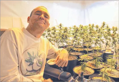  ?? SARA ERICSSON ?? Alex LeBlanc is growing cannabis plants for his own consumptio­n, and as he awaits licensing to become a designated grower.