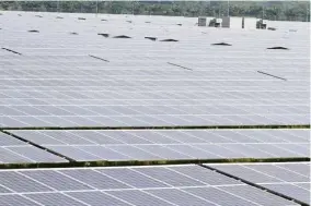  ??  ?? Sunny business: More companies are looking at solar farm developmen­t as opportunit­ies in the market open up.
