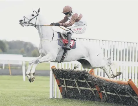  ??  ?? 0 Trainer Evan Williams and connection­s of Silver Streak are mulling over a switch to fences for the successful hurdler.