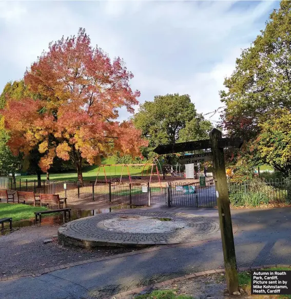  ?? ?? Autumn in Roath Park, Cardiff. Picture sent in by Mike Kohnstamm, Heath, Cardiff