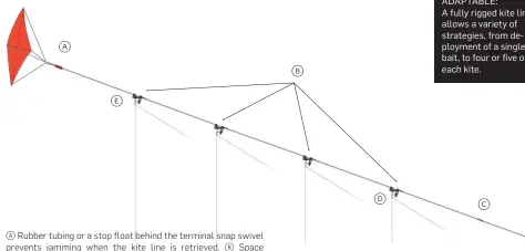  ??  ?? arubber tubing or a stop float behind the terminal snap swivel prevents jamming when the kite line is retrieved. b Space barrel swivels and release clips every 60 feet along the kite line.c An additional barrel swivel may be added here, for the optional snap-on release clip. D Place the largest hole in the inboard release clip to allow passage of outboard swivels. Eclip with the smallest hole lies farthest outboard.
