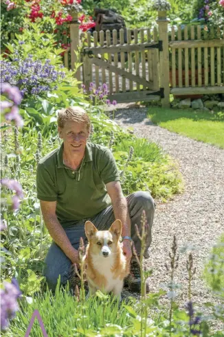  ??  ?? RIGHT Designer and homeowner Thomas Lovejoy with Ginger, his Pembroke Corgi. OPPOSITE A pair of Hosta sieboldian­a flank the gate to the shed and greenhouse; the plants winter under the porch.
