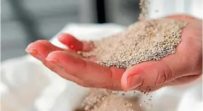 ??  ?? Chia seeds are a great vegetarian source of omega-3 alpha-linolenic acid.
