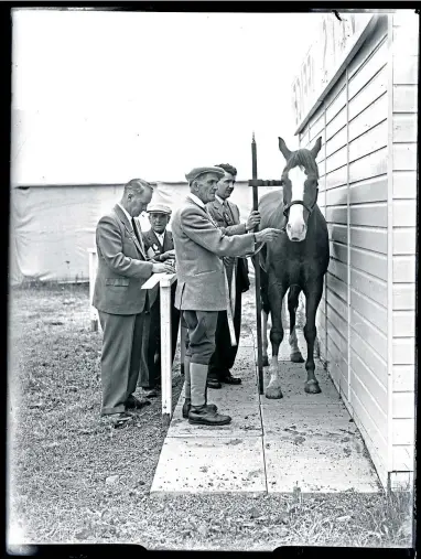  ??  ?? A horse is prepped before the Royal Highland Show in Dundee in June 1957