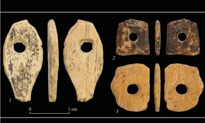  ?? Photograph: SiberianRu­ssian Academy of Sciences ?? Denisovan ornaments made from mammoth tusks from Denisova Cave in Siberia.