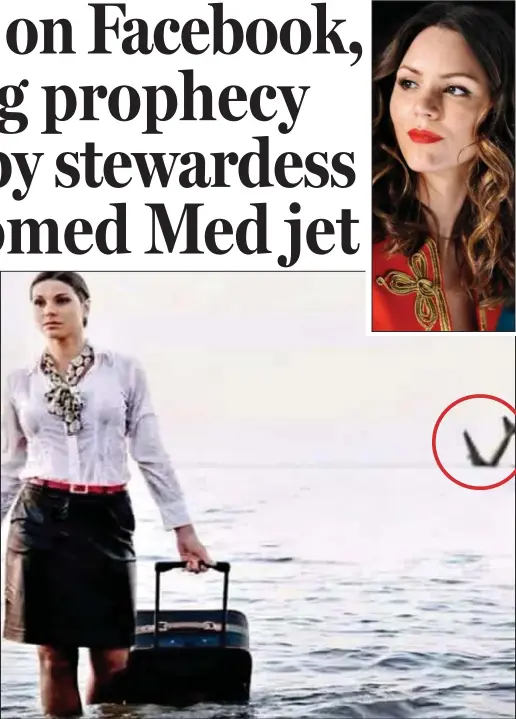  ??  ?? Eerie: The image of a flight attendant walking away from a downed jet, circled, posted online by victim Samar Ezz Eldin, top