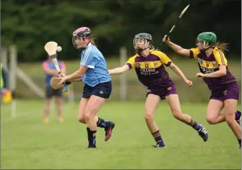  ??  ?? Dublin’s Niamh Gannon in action against Wexford’s Amy O’Leary and Anais Curran.