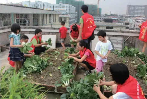  ??  ?? 广东省佛山南海区大沥­镇沥雄社区党员志愿者­在爱心菜园收获蔬菜，准备送去社区贫困群众­家中