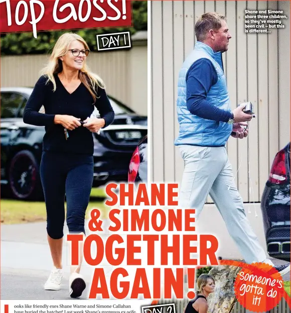  ??  ?? Shane and Simone share three children, so they’ve mostly been civil – but this is different…