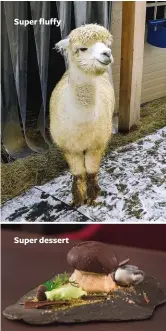  ??  ?? Super fluffy
Super dessert
