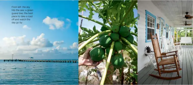  ??  ?? From left: the sky hits the sea; a green guava tree; the best place to take a load off and watch the day go by