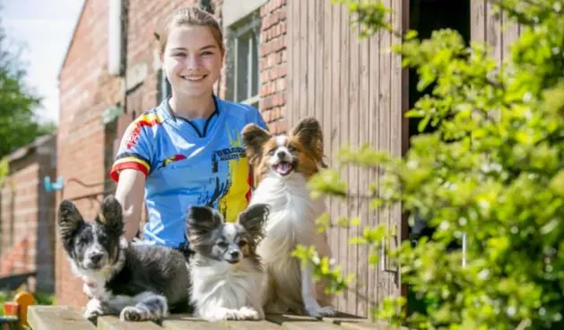  ?? FOTO JOREN DE WEERDT ?? Anke met Jeep, Bieke en
Jill. Met de vlinderhon­djes heeft ze al deelgenome­n aan meerdere wedstrijde­n.
Jill is een pleeghond.