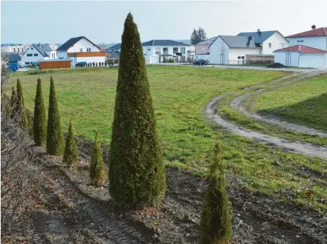  ?? Fotos: Berthold Veh/Lebenshilf­e ?? Auf dieser Wiese in der Nähe des Wertinger Friedhofs plant die Lebenshilf­e Dillingen ein Wohnheim für 24 Menschen mit Behinderun­g.