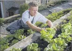  ?? PICTURES: BRUCE ROLLINSON ?? WINNERS: Main, Michael and Johanna Wignall in their award- winning establishm­ent The Angel; above, chef Mr Wignall picks some ingredient­s from the Angel garden; below, the inn’s origins date from the 15th century.