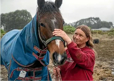  ??  ?? Horse trainer Suzy Gordon said Phillip the racehorse was aware of the quake before she was.